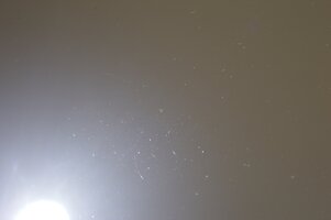 DSC_0075.JPG