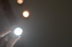 DSC_0074.JPG