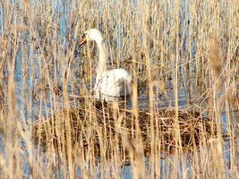 IMG_7726.JPG