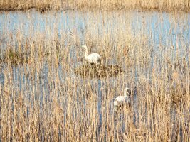 IMG_7727.JPG
