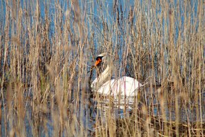 IMG_7731.JPG