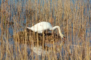 IMG_7737.JPG