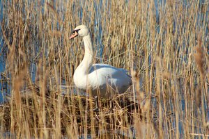 IMG_7746.JPG