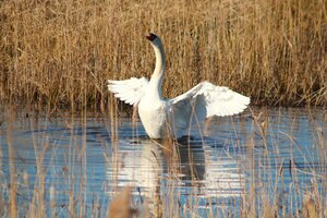IMG_7753.JPG
