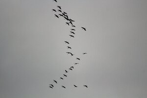 IMG_7781.JPG