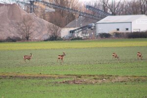 IMG_7786.JPG