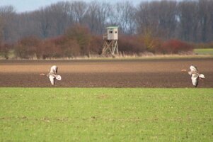 IMG_7791.JPG