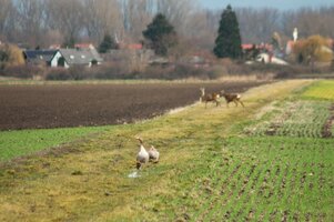 IMG_7797.JPG