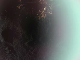 FireFly01.jpg