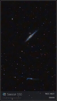 ngc4631.jpg ngc4631.jpg