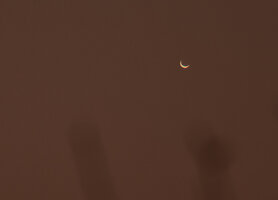 Venus 19.3.2025.jpg