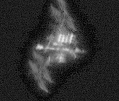 ISS_4.png