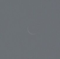 VENUS23032025_SINGLE.jpg