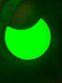 20250329_121834.jpg