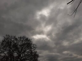 20250329_122255.jpg