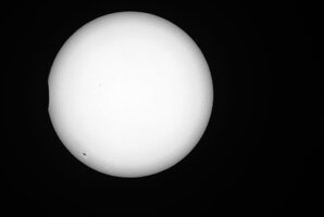 Sofi_#0403.jpg