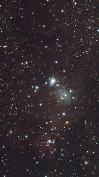 Stacked_181_NGC 2264_20.0s_IRCUT_20250329-211810.jpg