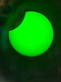20250329_113657.jpg