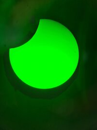20250329_113944.jpg