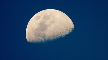 IMG_4312.jpeg