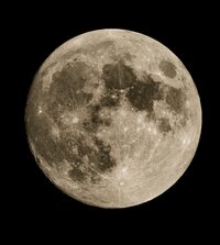 IMG_4327.jpeg