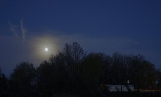 _MG_7388_2.jpg