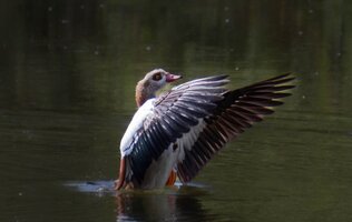 IMG_8679.jpeg