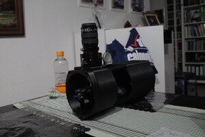 IMG_0939.jpg