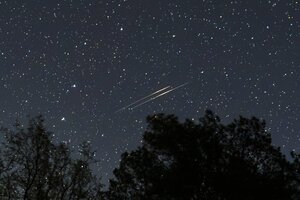 doppelt2-8SC_8606-.jpg