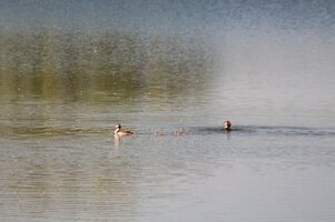 IMG_8841.JPG