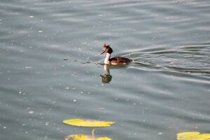 IMG_8862.JPG