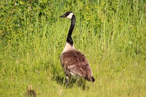 IMG_8881.JPG
