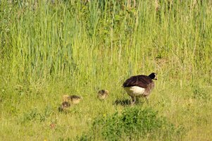IMG_8888.JPG