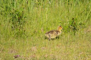 IMG_8891.JPG