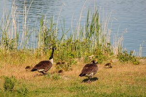 IMG_8896.JPG