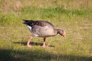 IMG_8897.JPG