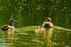 IMG_8808.jpeg