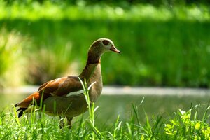 IMG_8806.jpeg