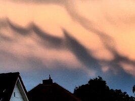 Mamatus-2-F.jpg