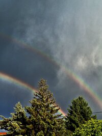 Regenbogen-4-AF.jpg