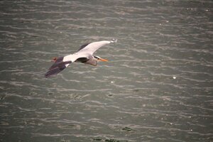 IMG_8908.JPG
