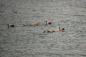 IMG_8931.JPG