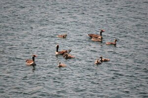 IMG_8933.JPG