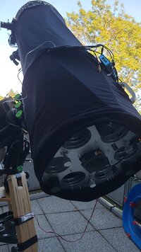 IMG-20250519-WA0043.jpeg