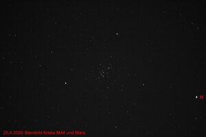 IMG_4419.jpg