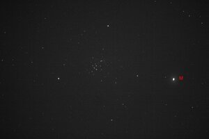IMG_4457.jpg
