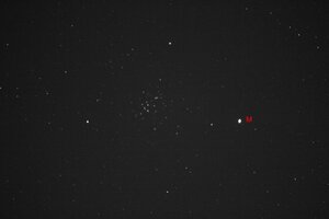 IMG_4524.jpg