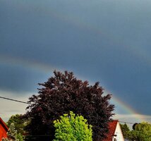 Regenbogen010625-2F.jpg