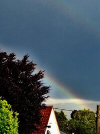 Regenbogen010625-3F.jpg