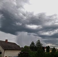20250602_191254.jpg